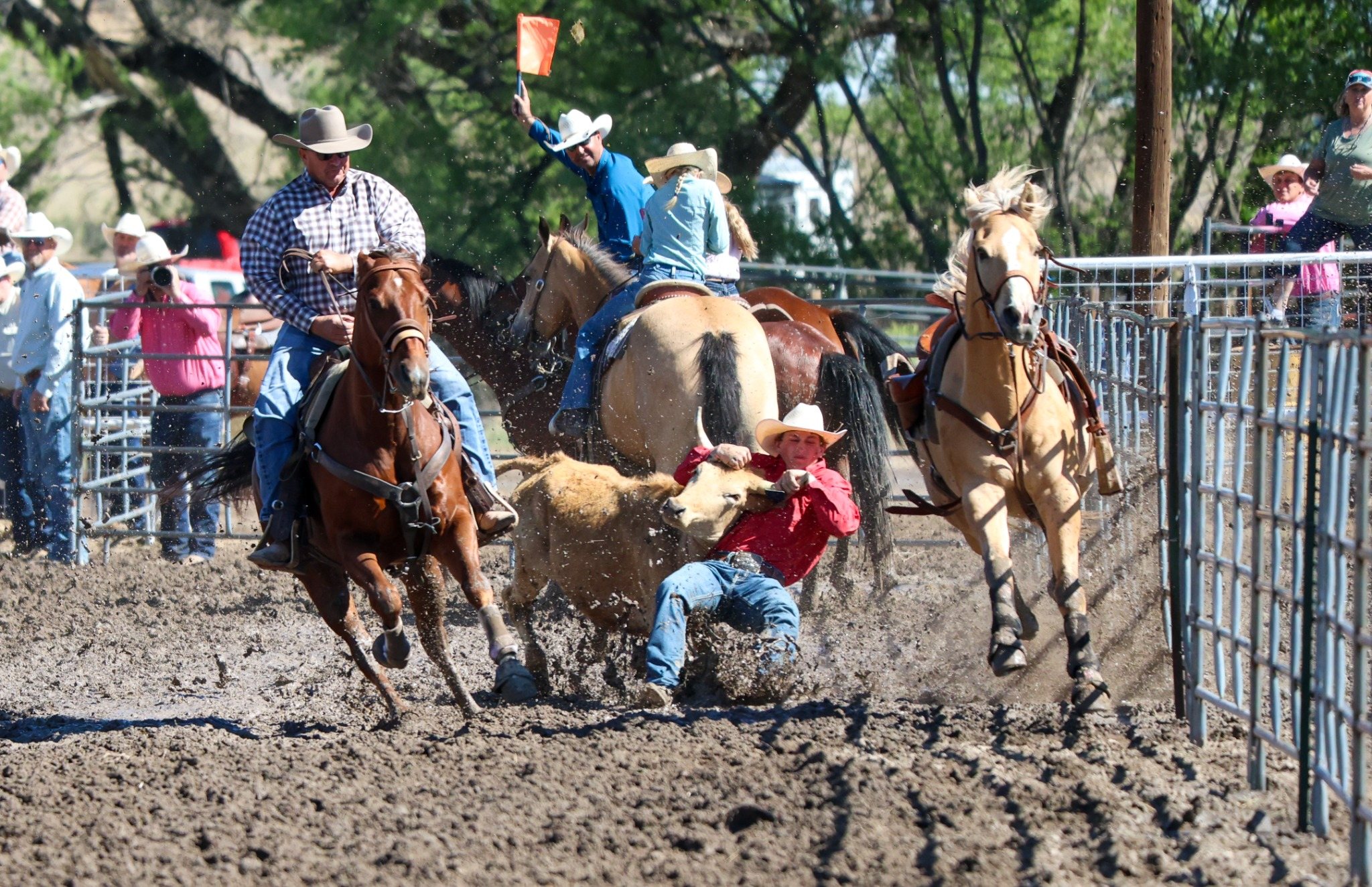 Rodeo action